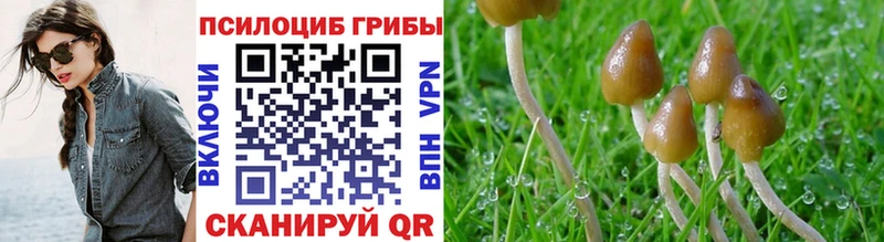 Псилоцибиновые грибы GOLDEN TEACHER  Боготол 