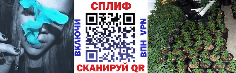 Марихуана THC 21% магазин продажи Боготол